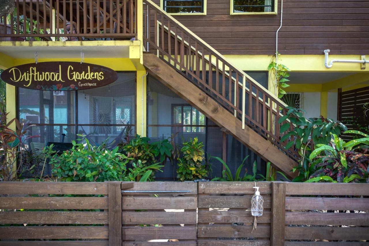 Driftwood Gardens Guesthouse Placencia Εξωτερικό φωτογραφία